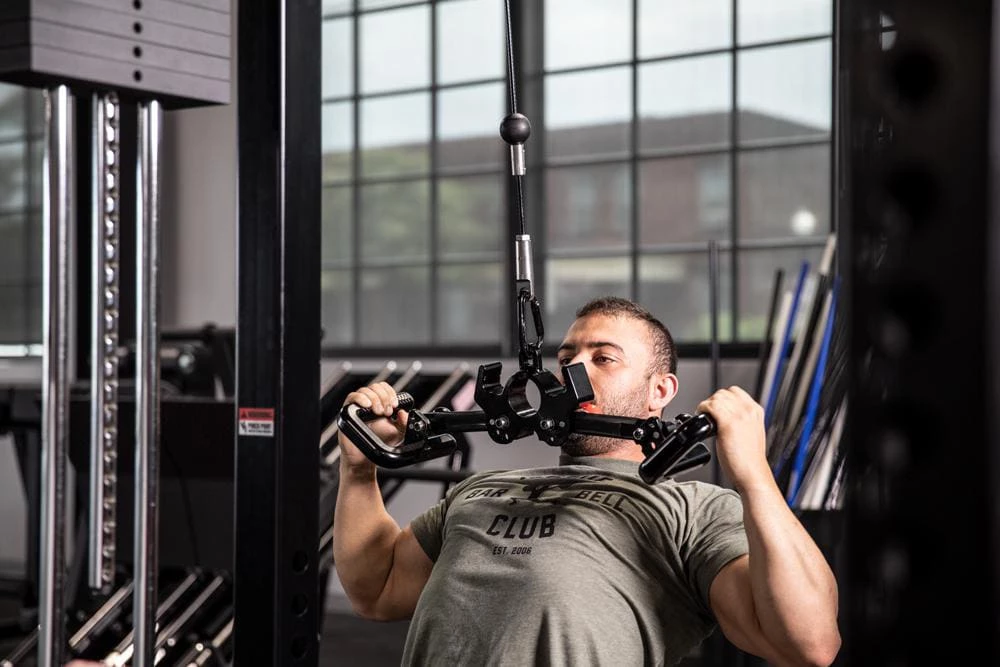 Back Widow - Image 3