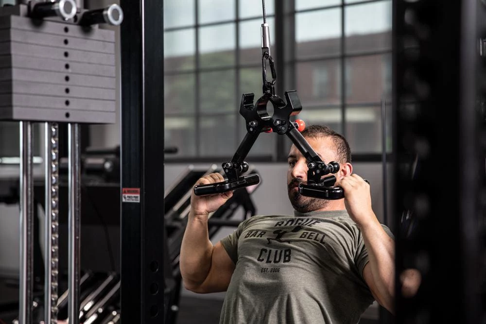 Back Widow - Image 2