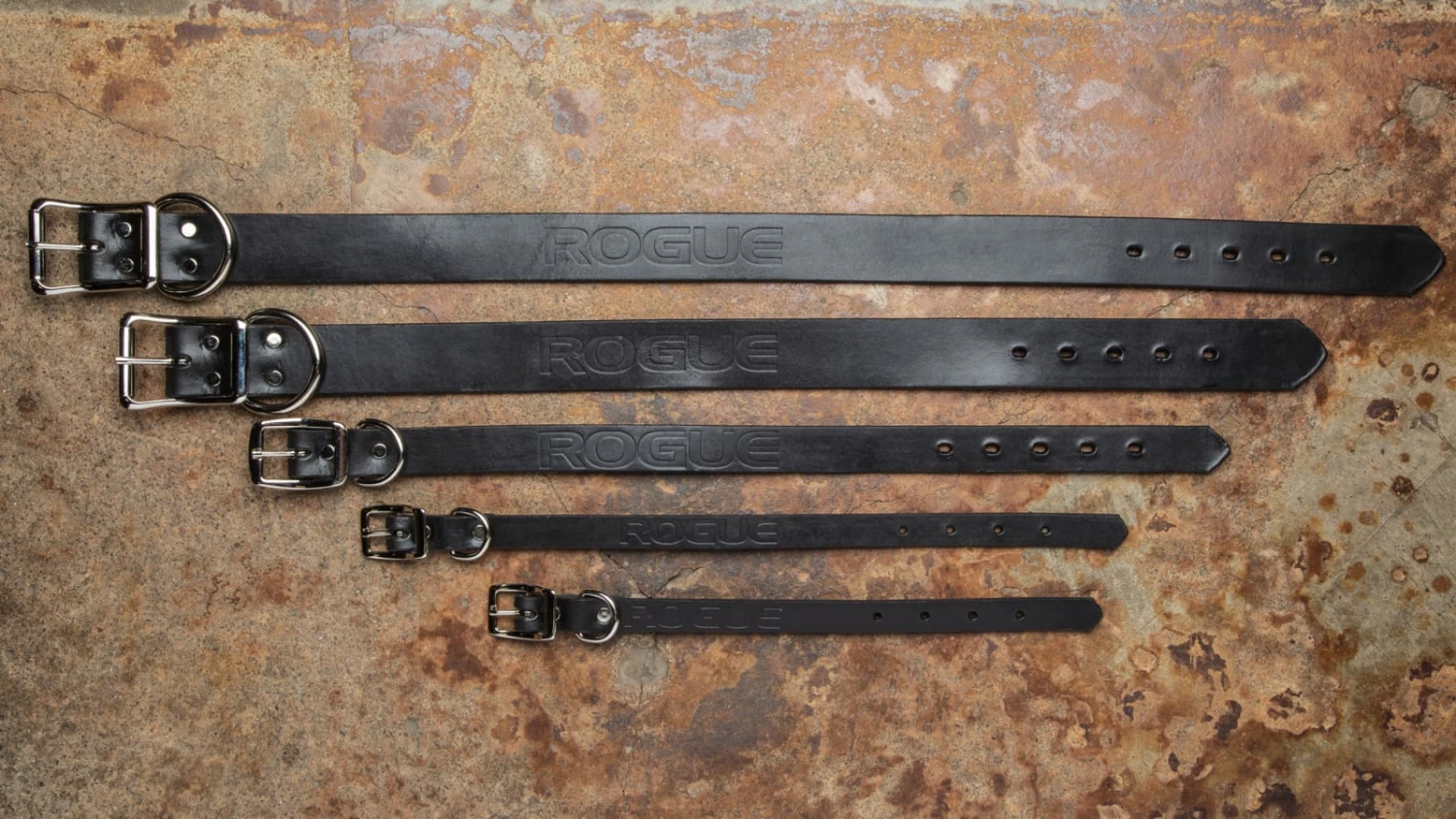 Rogue Fitness Rogue Leather Dog Collar - Image 2