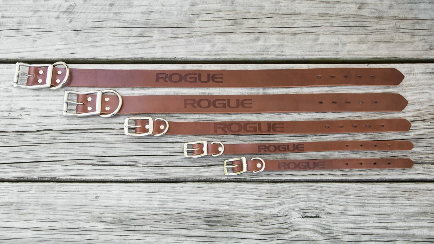 Rogue Fitness Rogue Leather Dog Collar - Image 3