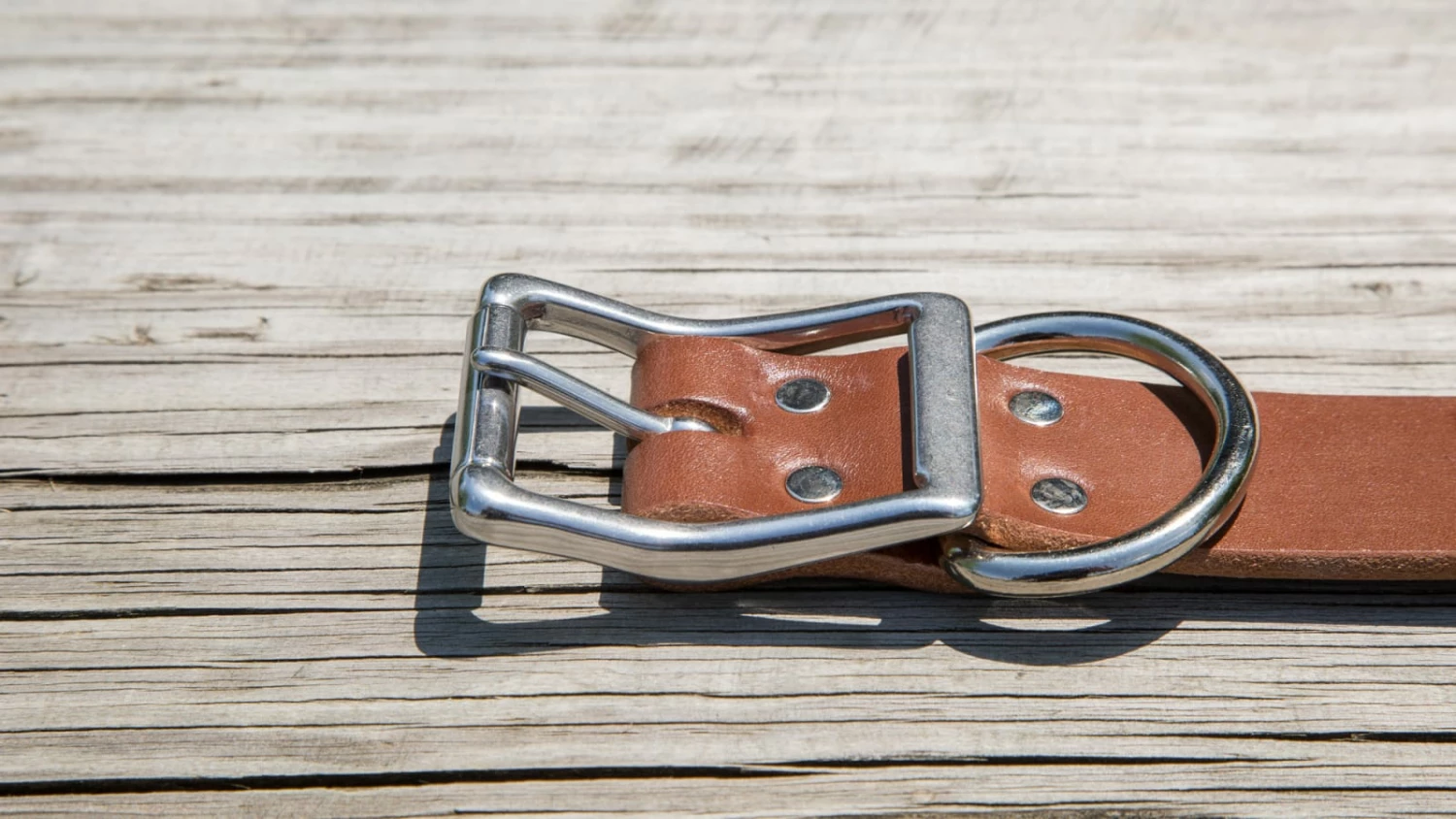 Rogue Fitness Rogue Leather Dog Collar - Image 4