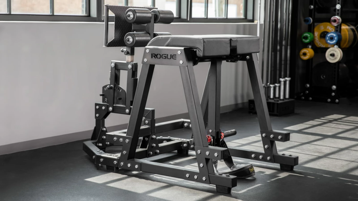 Rogue Fitness Rogue Donkey