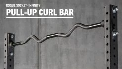 Rogue Fitness Rogue Infinity Socket Pull-up Curl Bar