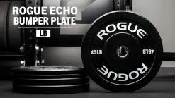 Rogue Fitness Rogue Echo Bumper Plates V2