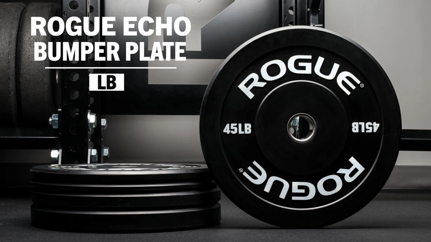 Rogue Fitness Rogue Echo Bumper Plates V2