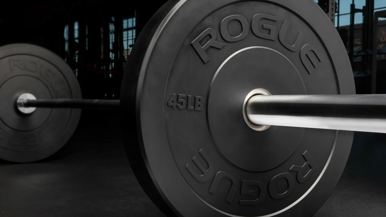 Rogue Fitness Rogue MIL Spec Echo Bumper - Image 4