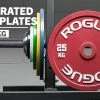Rogue Fitness Rogue Calibrated KG Steel Plates
