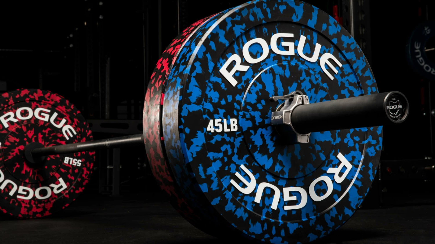 Rogue Fitness Rogue Fleck Plate - Image 3
