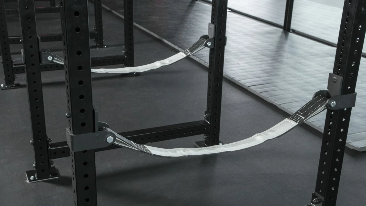 Rogue Fitness Monster Lite Strap Safety System 2.0