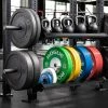 Rogue Fitness Monster Lite Single Post Storage Shelf