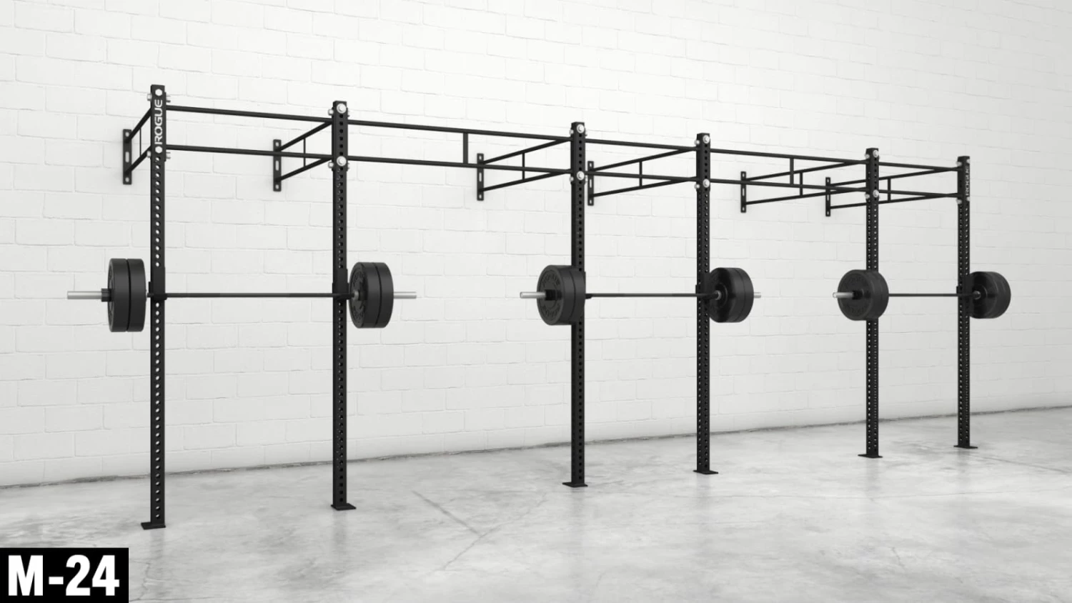 Rogue Fitness Monster Wallmounts - Image 5