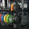Rogue Fitness Monster Single Post Storage Shelf
