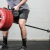 Rogue Fitness Rogue Parallel Landmine Handle