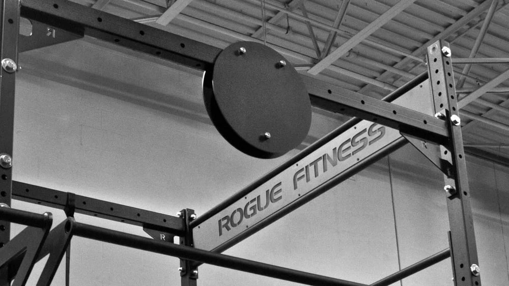 Rogue Fitness WB-2 Wall Ball Target