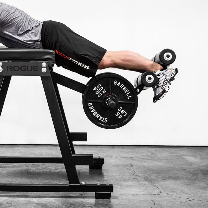 Rogue Fitness Hyper Roller Attachment - Image 2