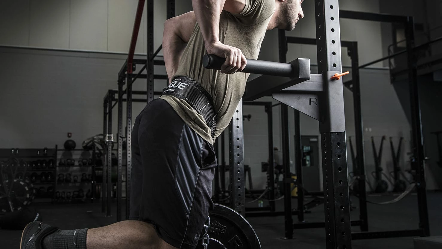 Rogue Fitness Rogue Monster Lite Matador - Image 3