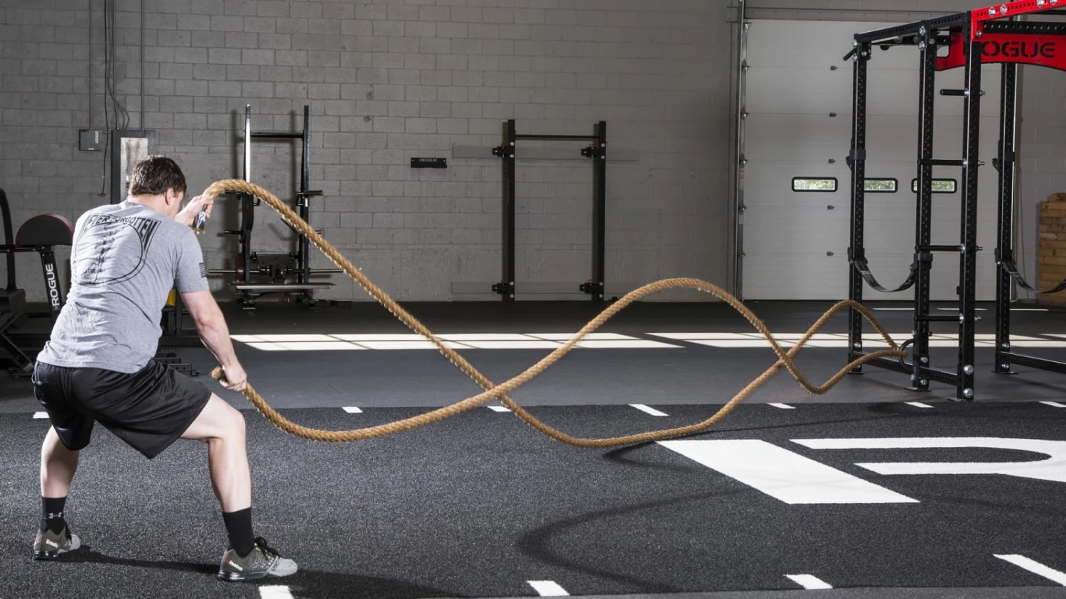 Rogue Fitness Monster Rope Attachment Anchor - Image 4