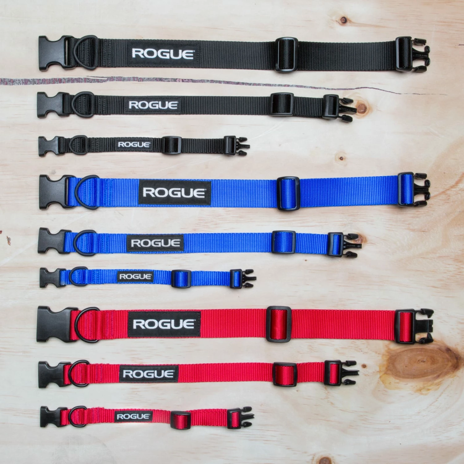 Rogue Fitness Rogue Nylon Dog Collar - Image 3