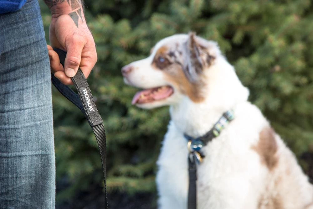 Rogue Fitness Rogue Nylon Dog Leash - Image 2
