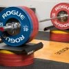 Rogue Fitness Rogue Echo Pulling Block Set
