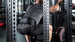 Rogue Fitness Rogue Monster Rhino Belt Squat - Drop-In 2 Rogue Fitness Rogue Monster Rhino Belt Squat - Drop-In -Rogue Fitness RA1592 BLACK MG web10 dbfype