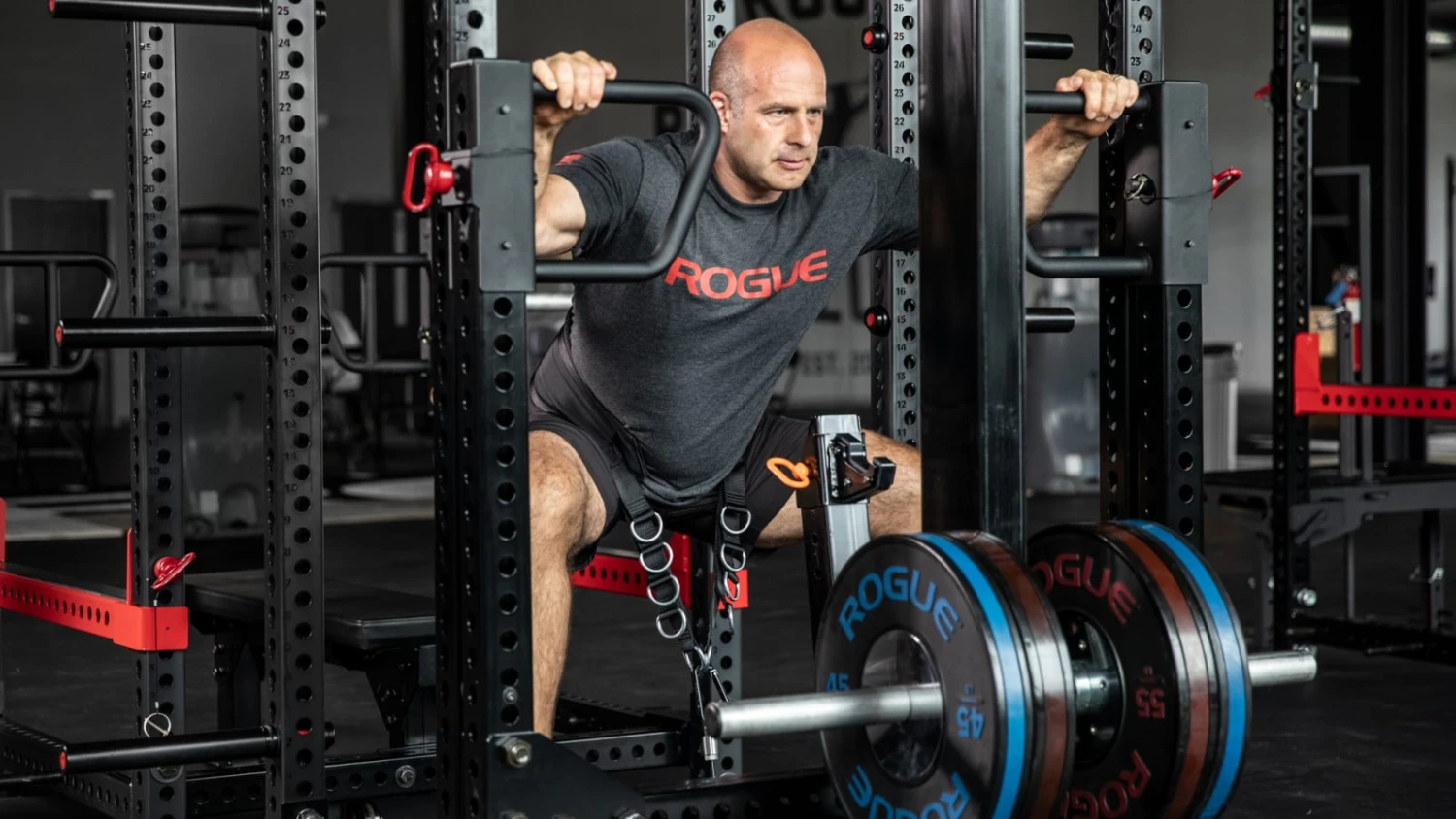Rogue Monster Rhino Belt Squat - Drop-In Rogue Fitness Rogue Monster Rhino Belt Squat - Drop-In -Rogue Fitness RA1592 BLACK MG web2 mb1zwd