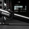 Rogue Fitness Rogue Monster Landmine 2.0