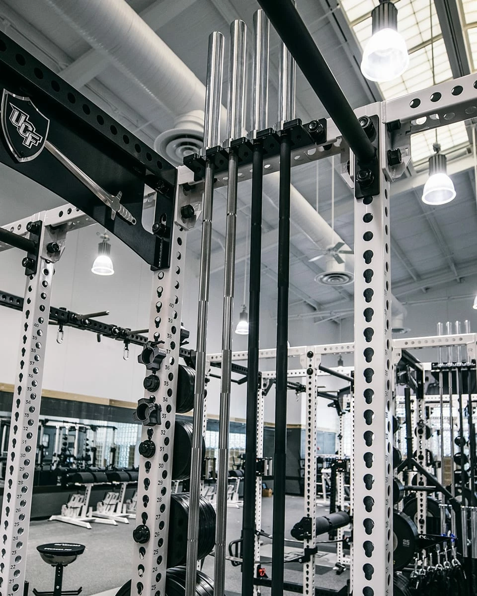 Rogue Fitness Monster Rack Mount 4-Bar Hanger - Image 5