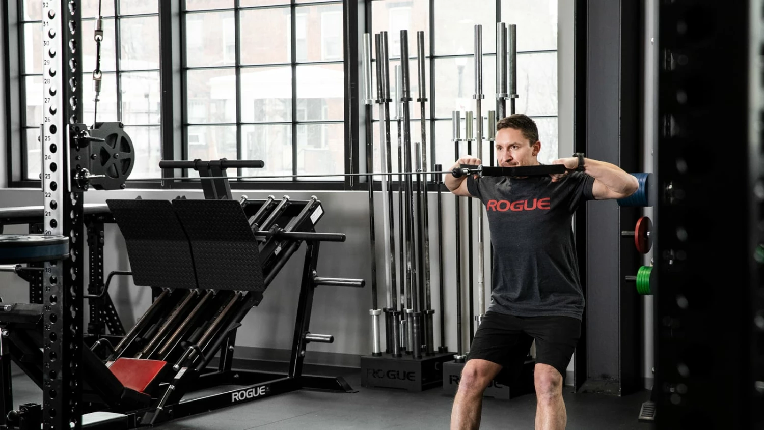 Rogue Fitness Monster Slinger Solo Pulley Attachment - Image 4