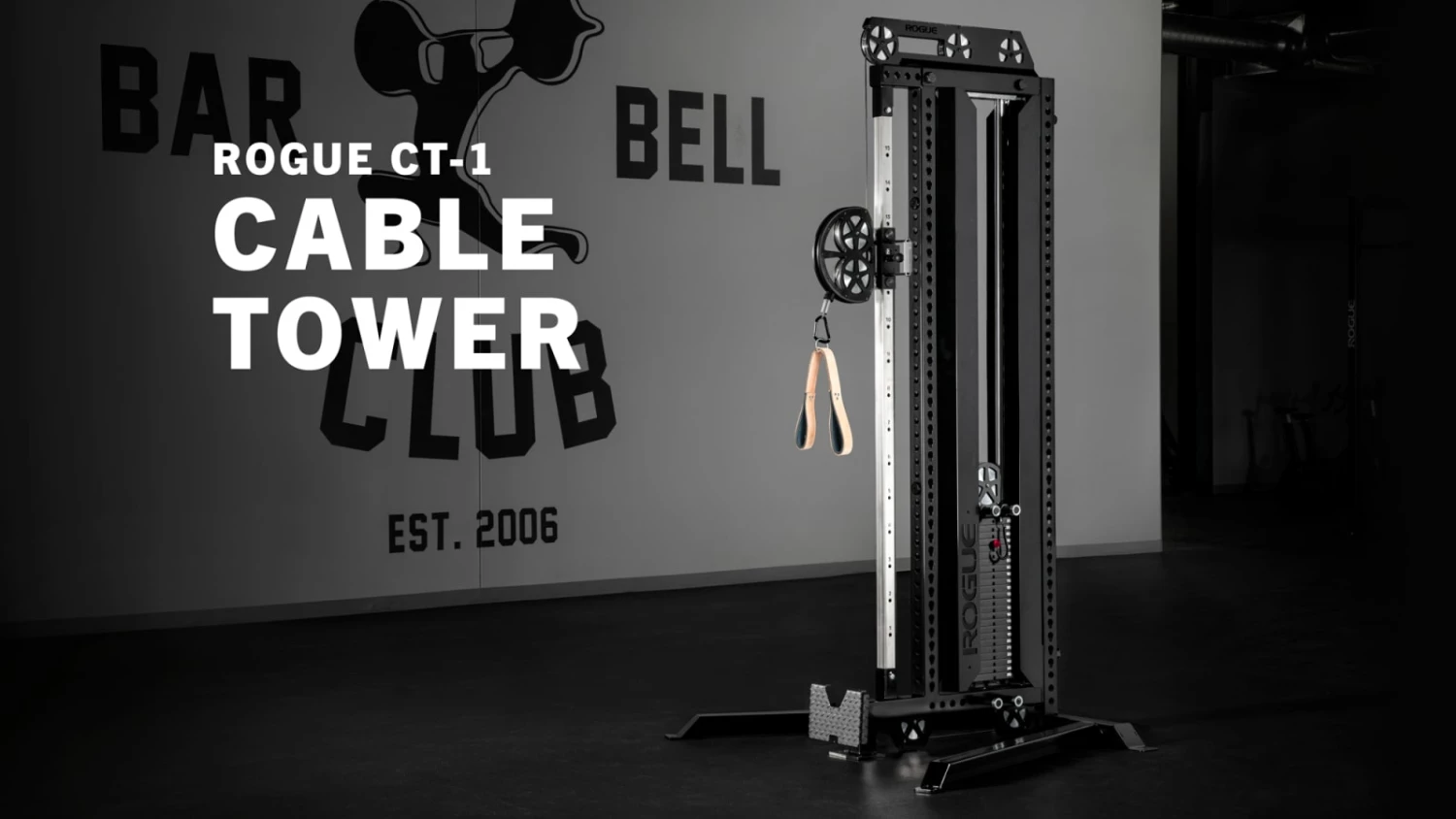 Rogue Fitness Rogue CT-1 Cable Tower