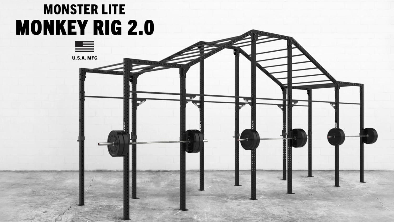 Rogue Fitness Monster Lite Monkey Rig 2.0