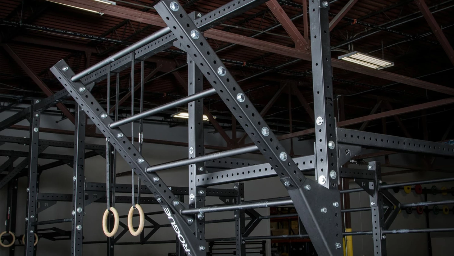 Rogue Fitness Rogue Monster Lite Flying Pull-up Bar