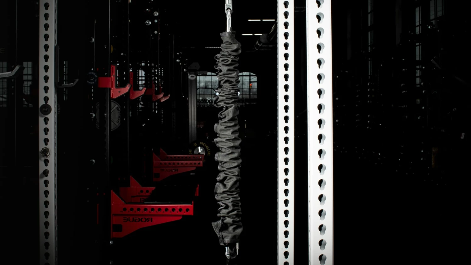 Rogue Fitness Rogue Monster Slinger™ - Image 5