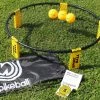 Spikeball Combo Meal Kit