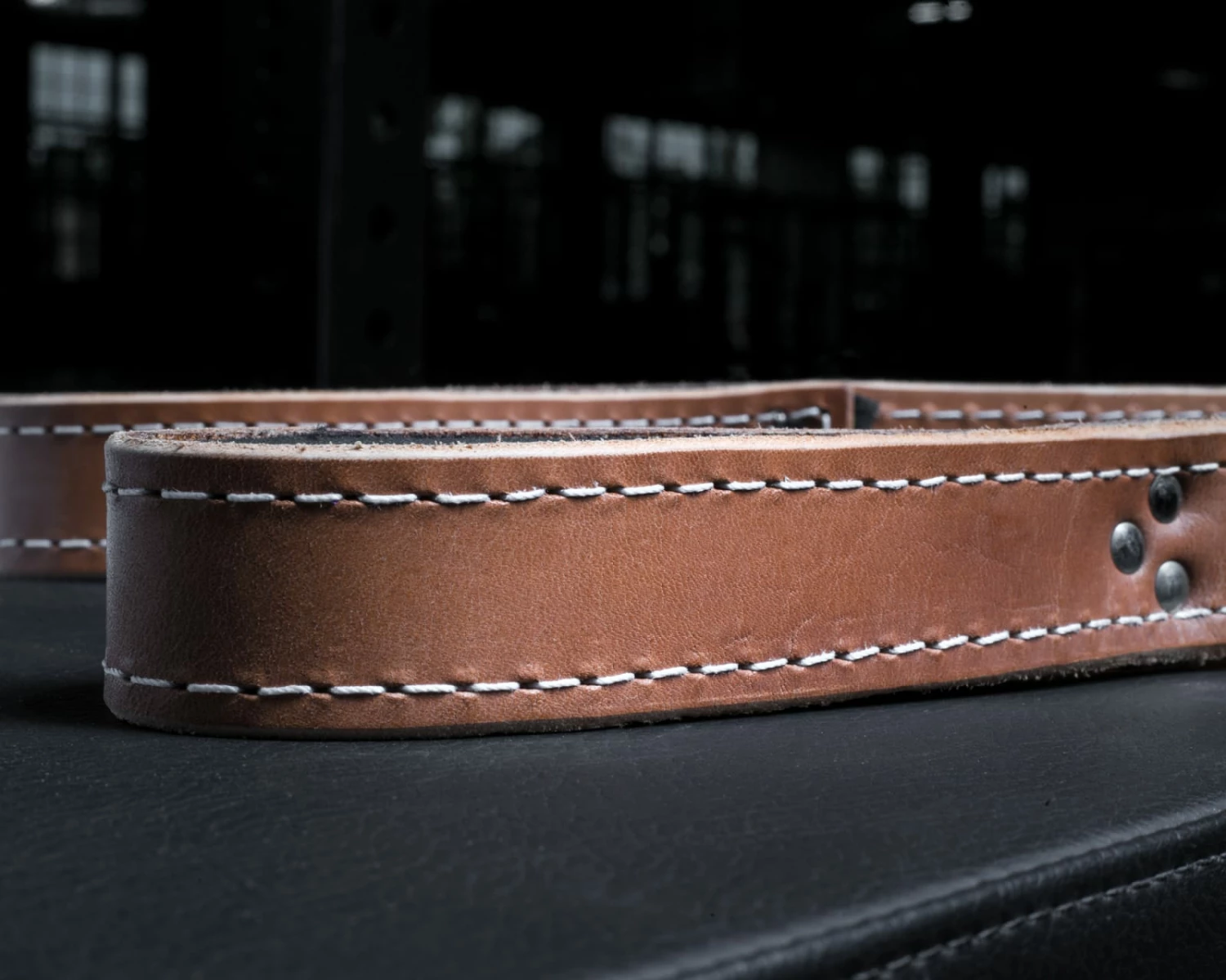 Pioneer Leather Tricep Straps - 25" - Image 2