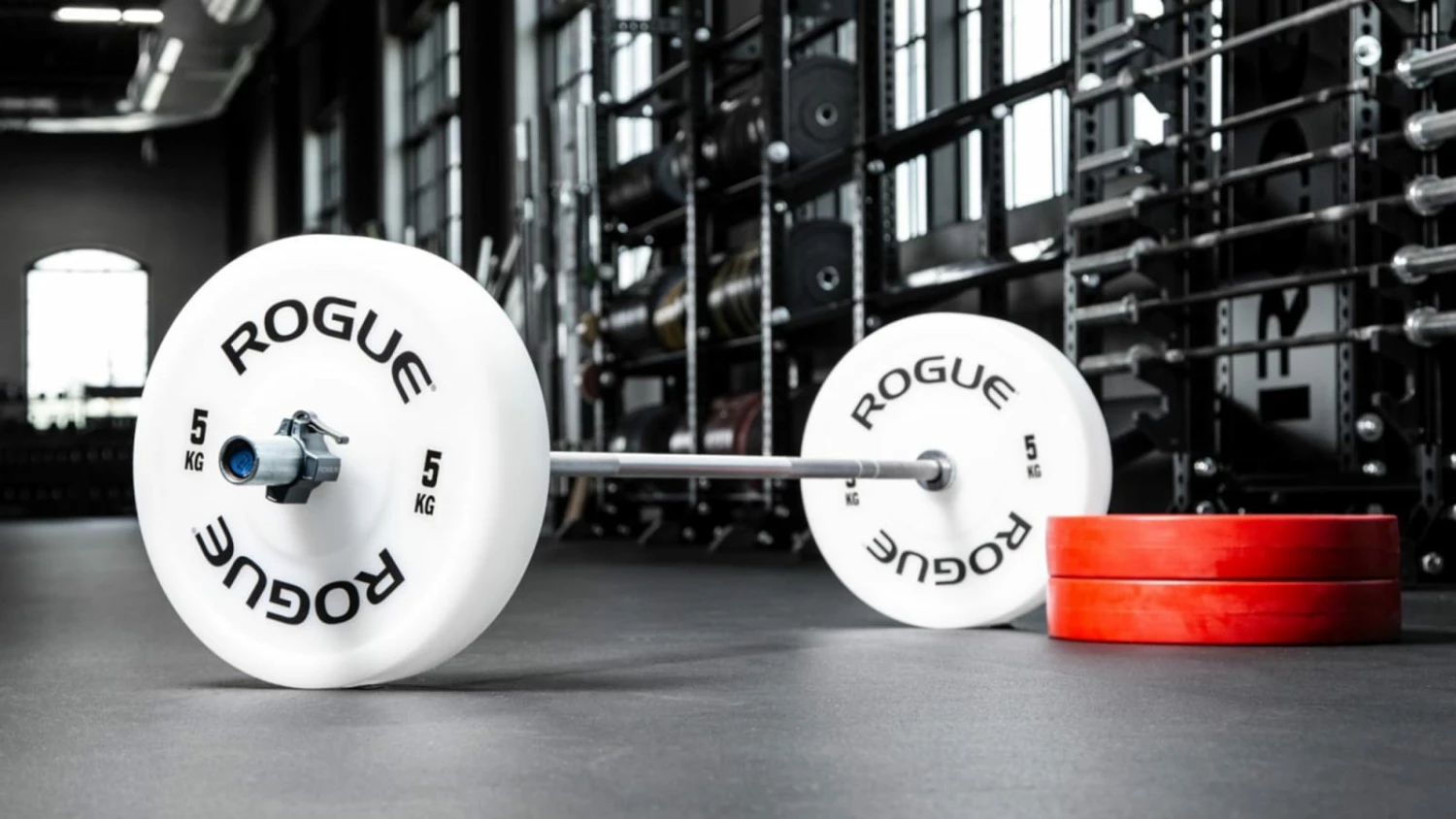 Rogue Fitness Rogue Technique Plates