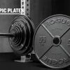 Rogue Fitness Rogue USA Olympic Plates