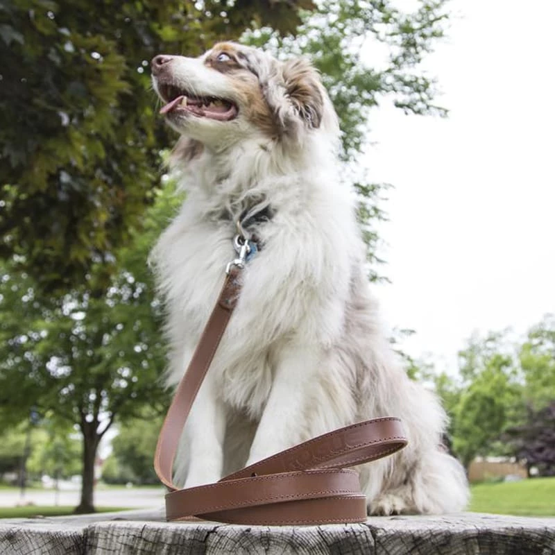 Rogue Fitness Rogue Leather Dog Leash - Image 2