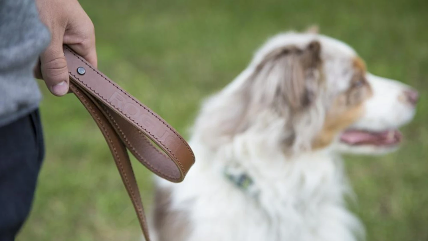 Rogue Fitness Rogue Leather Dog Leash - Image 5