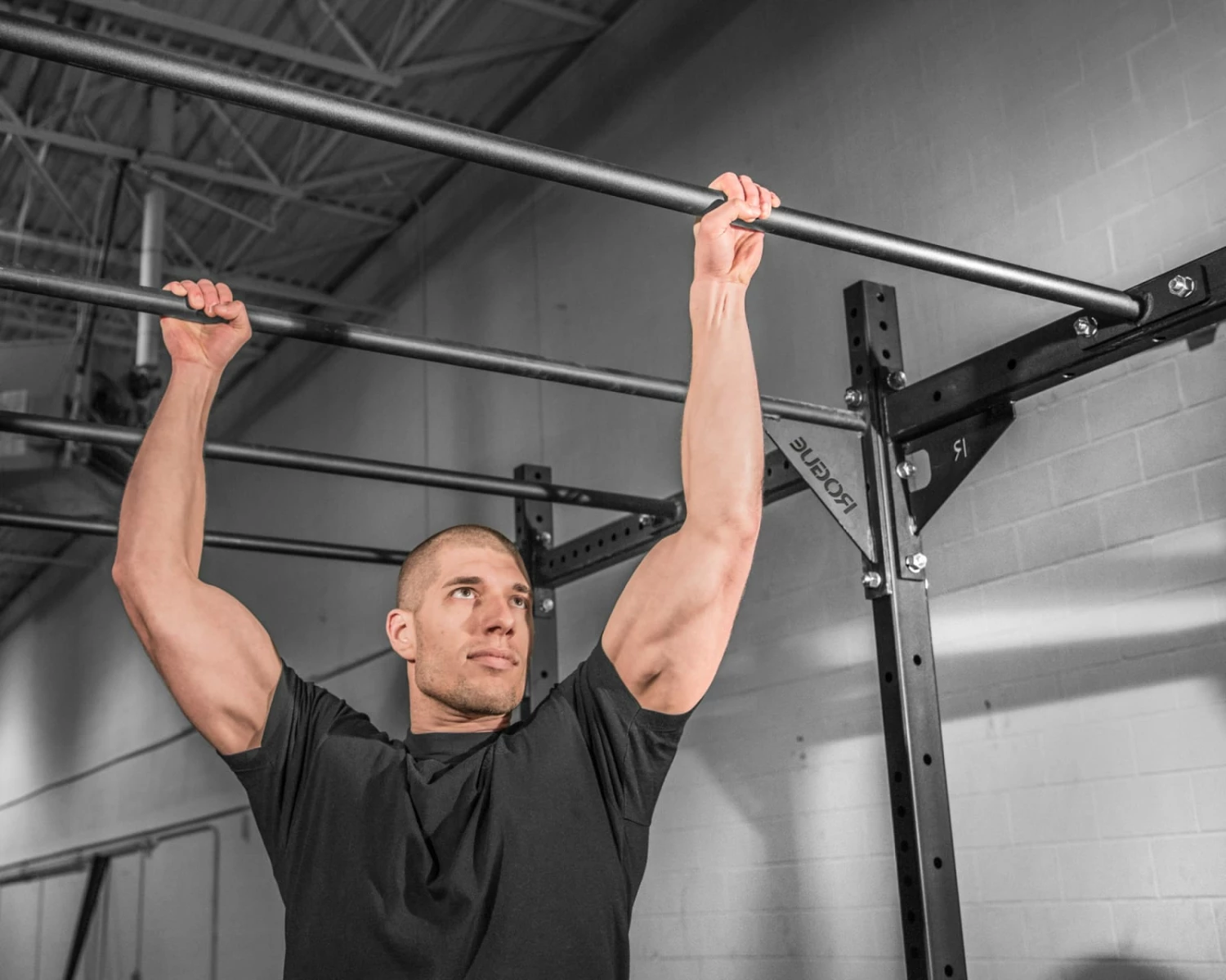 Rogue Fitness Rogue Monster Lite Single Monkey Bar - Image 2