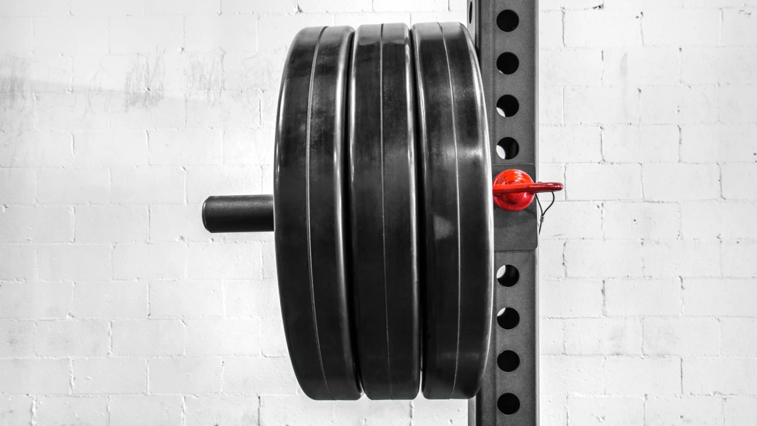 Rogue Fitness Monster Plate Storage Channel - Image 2