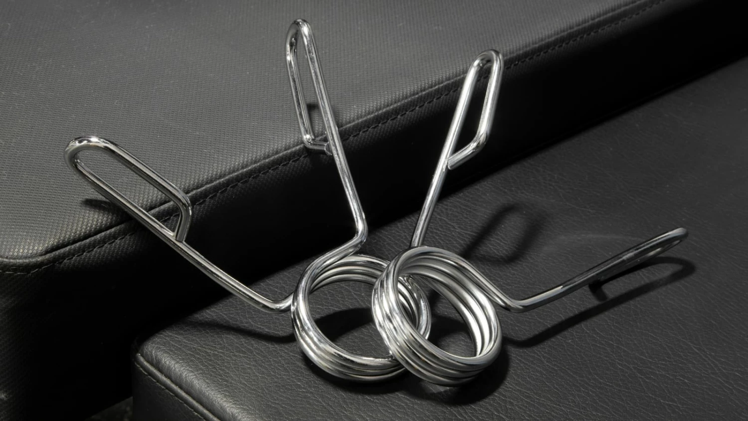 Rogue Fitness Rogue Spring Collars